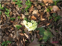 efe7e9df-IMG_4503 2.jpg